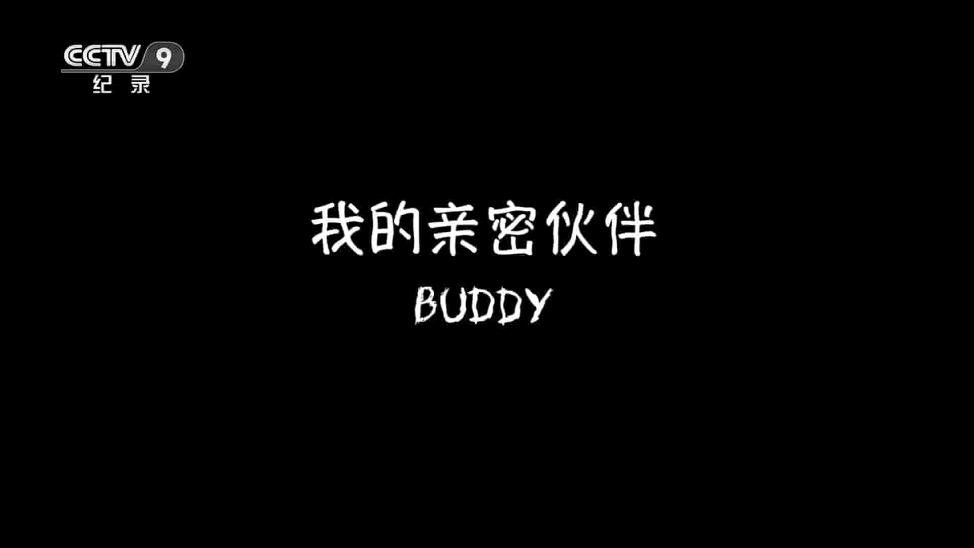 央视纪录片《我的亲密伙伴/良朋狗友 Buddy 2018》全1集 国语中字 1080P高清网盘下载