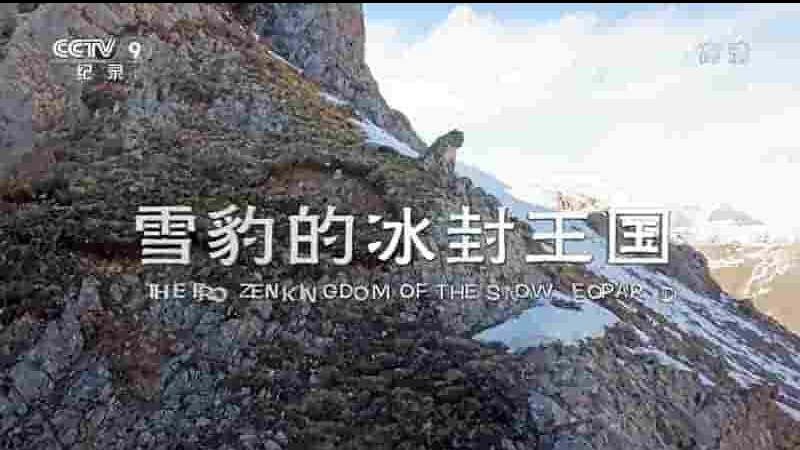 央视纪录片《雪豹的冰封王国 The Frozen Kingdom of the Snow Leopard 2021》全1集 国语中字 1080P高清网盘下载