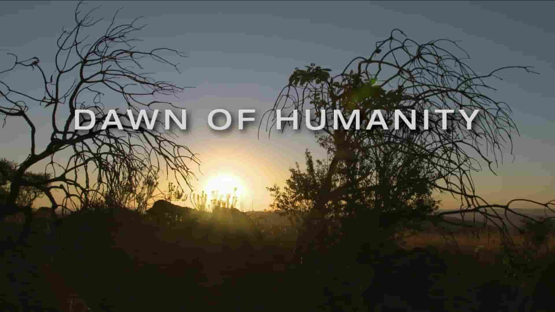PBS纪录片/国家地理《人类的黎明 Dawn of Humanity 2015》全1集 英语中英双字 1080P高清网盘下载