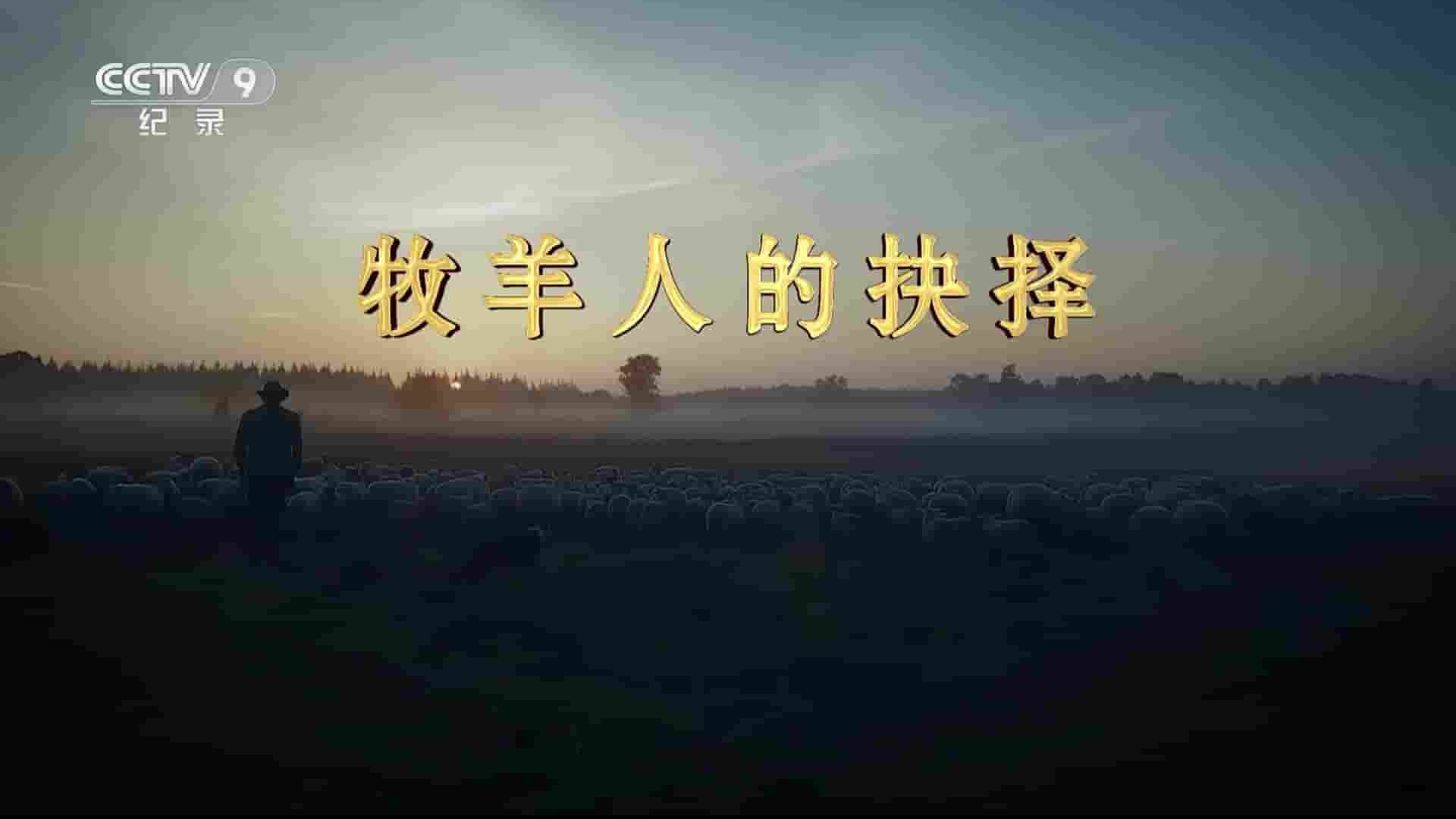 央视纪录片《牧羊人的抉择/牧羊英雄 Schapenheld 2019》全1集 国语中字 1080P高清网盘下载