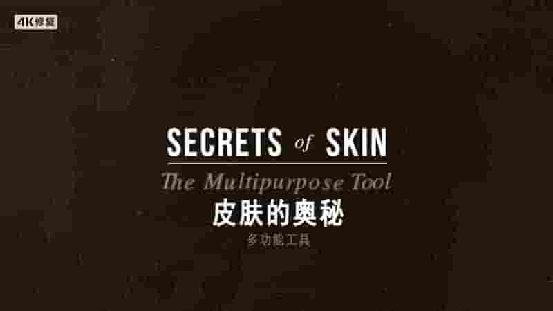 BBC纪录片《皮肤的奥秘 Secrets of Skin 2019》全3集 英语中字 4K超高清网盘下载