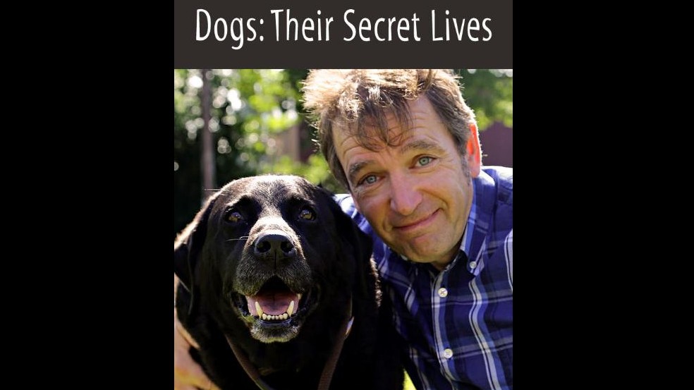 英国纪录片《狗狗的秘密生活  Dogs: Their Secret Lives 2014》第1季全7集 英语中字 1080p高清网盘下载