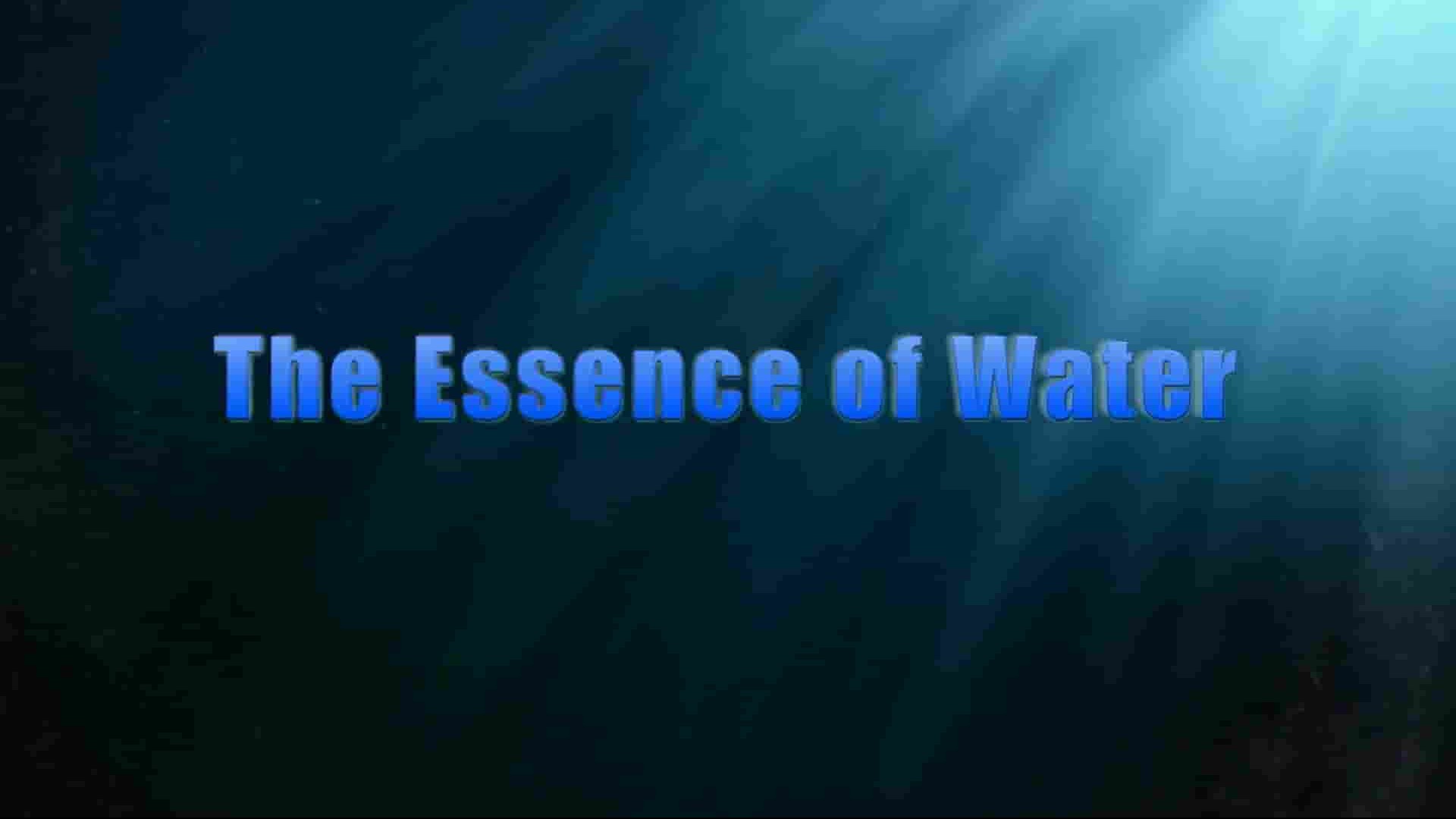 ZDF纪录片《水的本质 The Essence of Water 2021》全1集 英语中英双字 1080P高清网盘下载