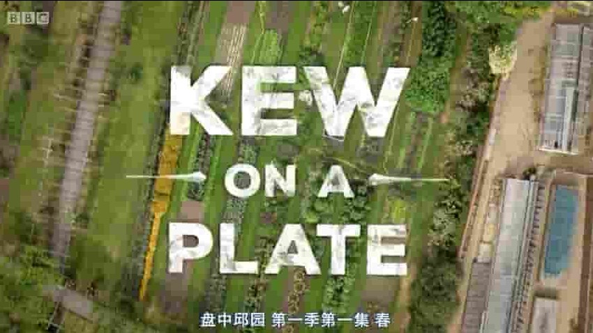 BBC纪录片《盘中邱园/皇家食材出邱园/尋味後花園 Kew on a Plate 2015》全4集 英语中英双字 标清网盘下载