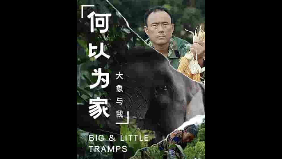 国产纪录片《何以为家：大象与我 BIG & LITTLE TRAMPS 2020》全3集 国语中字 1080p高清网盘下载