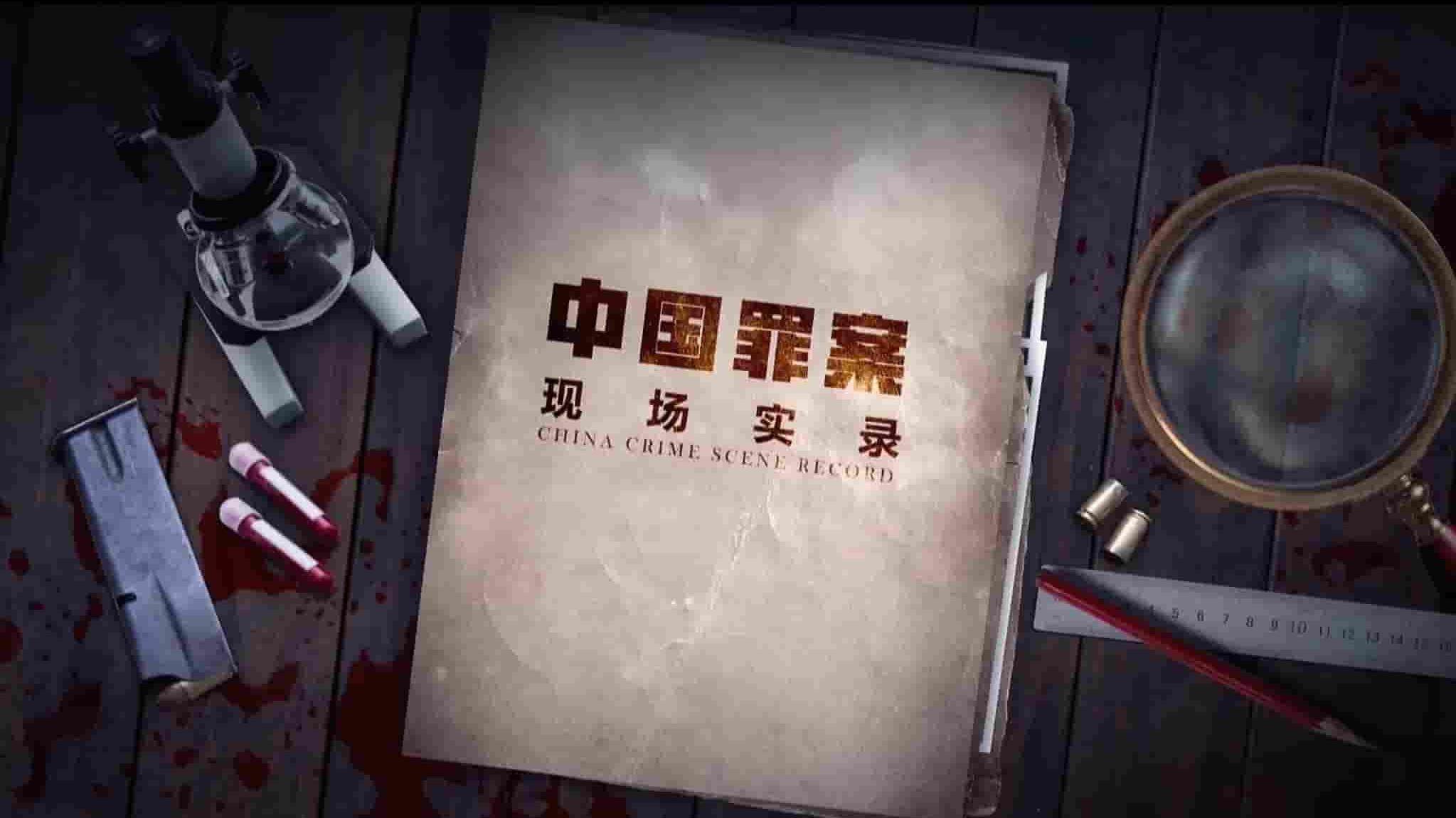 国产纪录片《中国罪案现场实录China Crime Scene Record第二季 2020》全12集 国语中字 4k超高清网盘下载