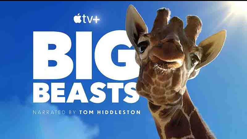 APPLETV纪录片《巨兽/大动物大不易 Big Beasts 2023》全10集 英语中字 4k超高清网盘下载