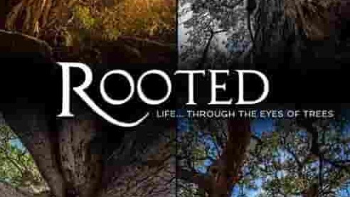加拿大纪录片《生命之树 Rooted 2018》全5集 英语中字 1080p高清网盘下载
