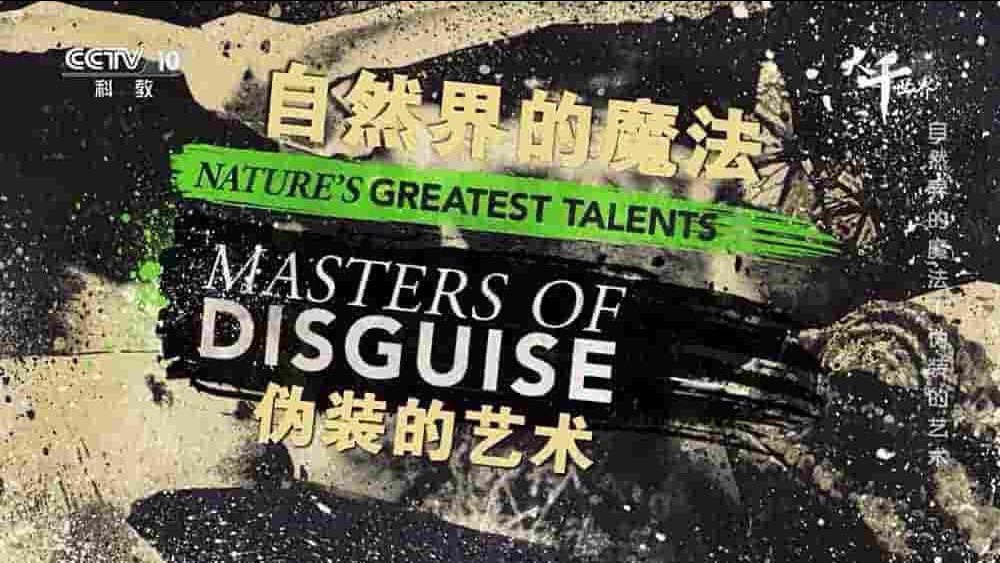 央视纪录片《自然界的魔法 Nature’s Greatest Talents 2017》全1集 国语中字 1080i高清网盘下载