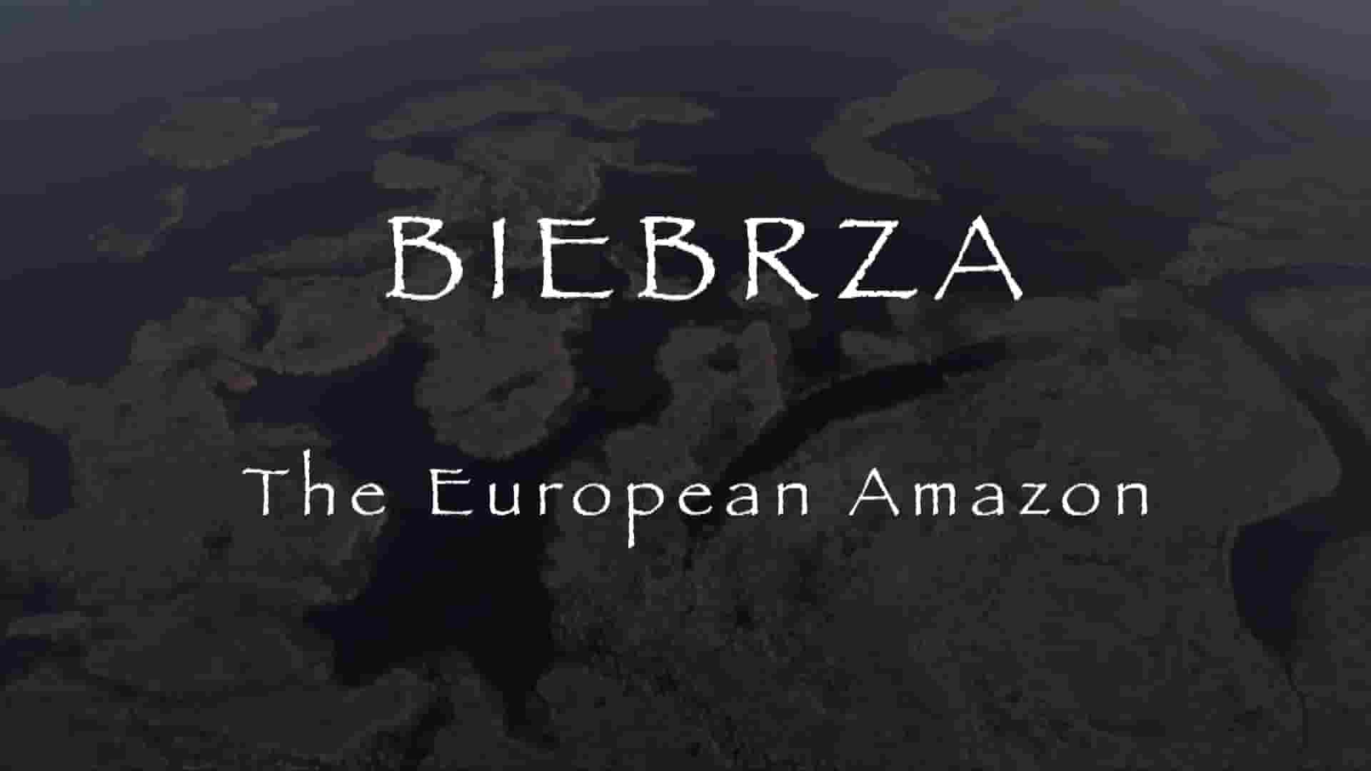  波兰纪录片《别布扎河：欧洲的亚马逊 Biebrza: The European Amazon 2016》全1集 英语无字 1080P高清网盘下载