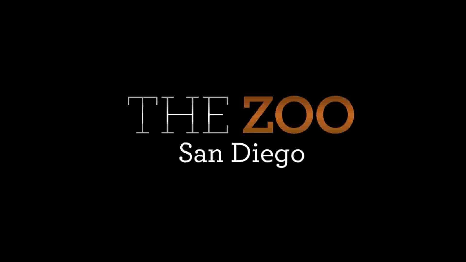 动物星球频道《圣地亚哥动物园 The Zoo：San Diego》第1-2季全18集 英语中字 1080P高清网盘下载