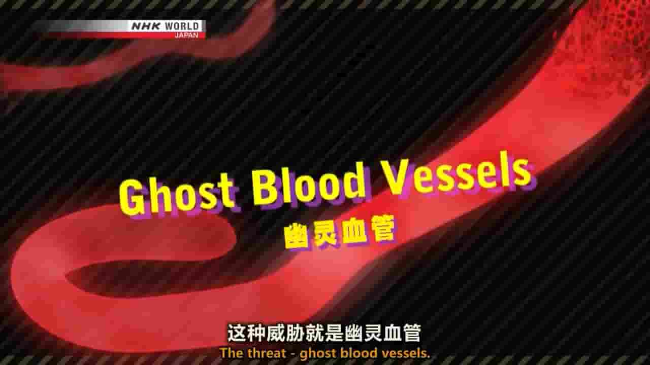 NHK纪录片《幽灵血管 Ghost Blood Vessels 2018》全1集 英语内嵌中英双字 720P高清网盘下载