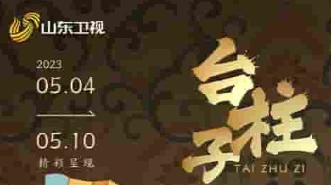 国产纪录片《台柱子  Tai Zhu Zi 2023》全5集 国语中字 1080p高清网盘下载