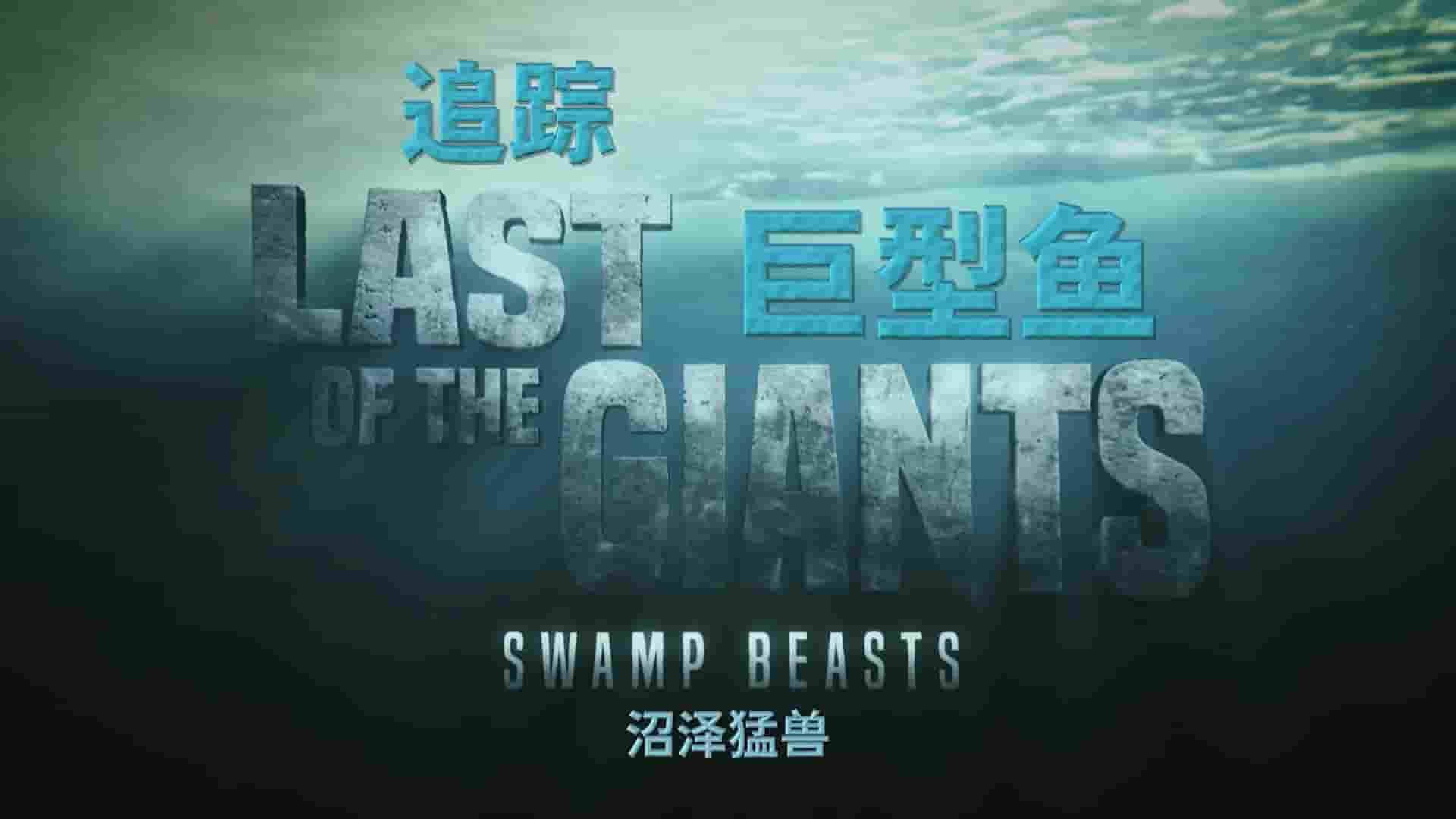 国家地理《追踪巨型鱼 Last of the Giants 2023》第2季全8集 中英双语中字 1080P高清网盘下载