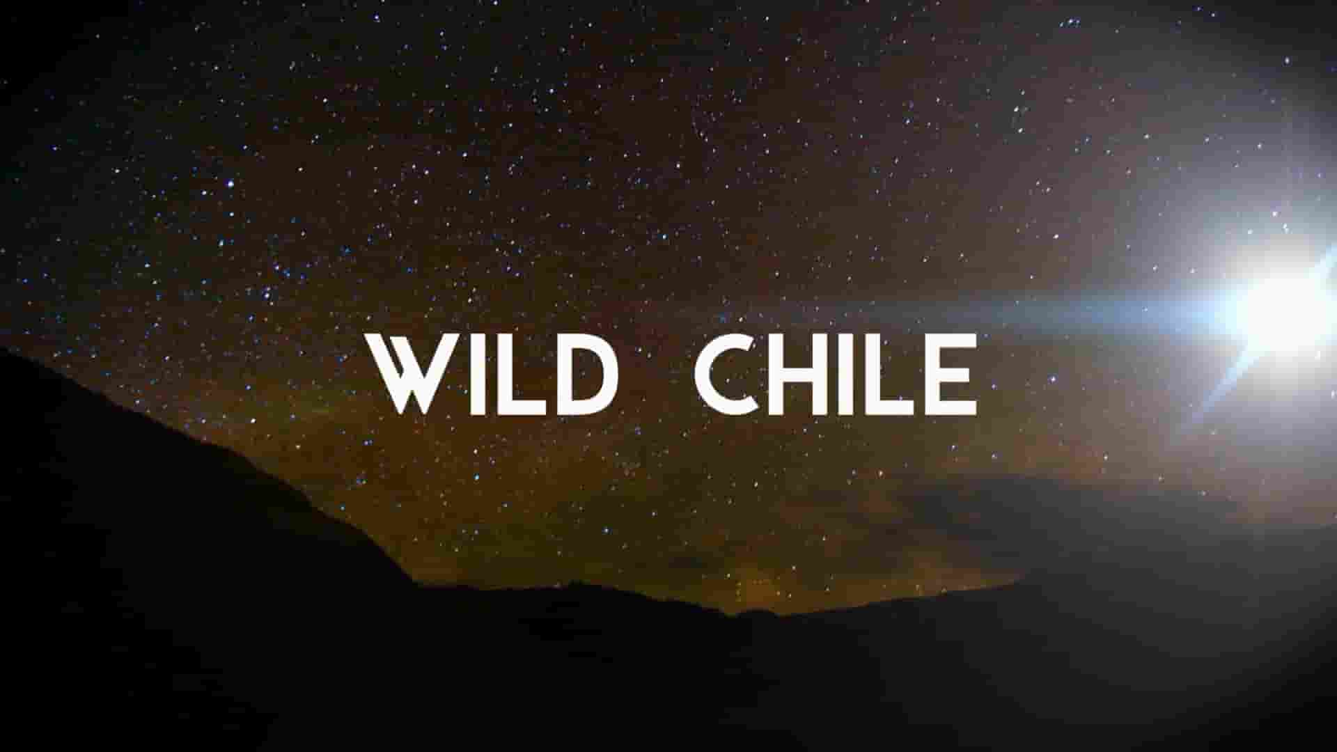 国家地理《狂野智利 Wild Chile 2018》第1季全3集 国英双语多国中字 1080P高清网盘下载