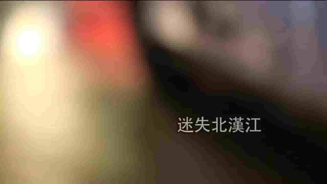 凤凰卫视《迷失北汉江 2014》全2集 国语中字 720P高清网盘下载