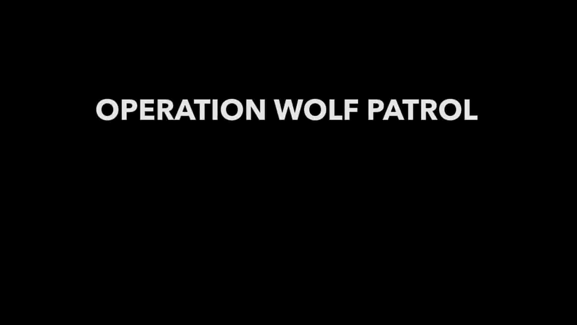 美国纪录片《巡狼行动/狼巡逻行动 Operation Wolf Patrol 2021》全1集 英语中英双字 1080P高清网盘下载
