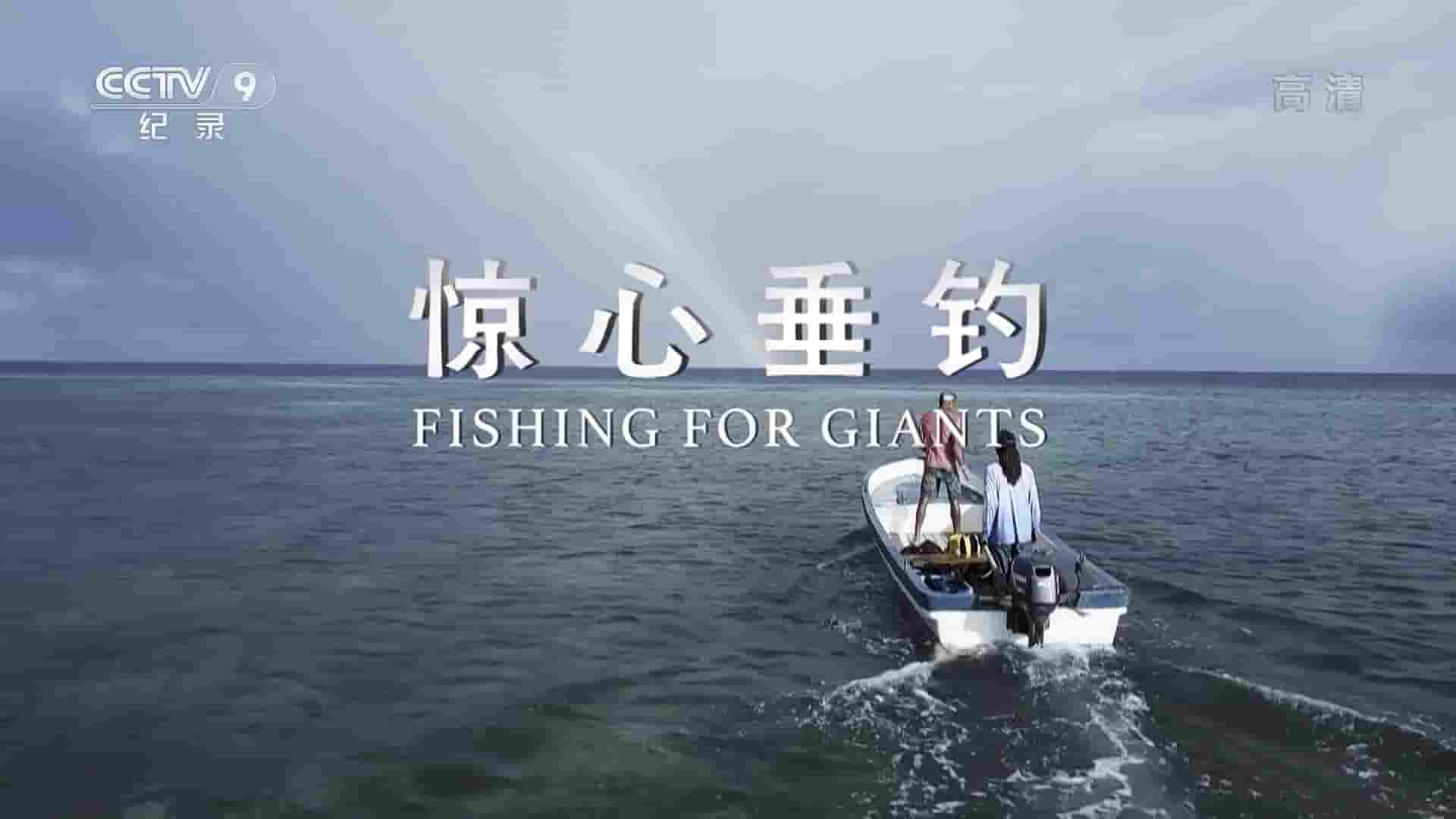 央视纪录片《惊心垂钓 Fishing for Giants 2017》全3集 国语中字 1080i高清网盘下载