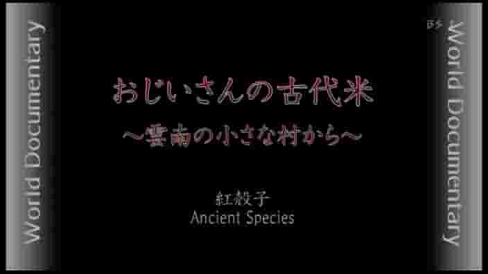 NHK纪录片《先辈的古代米-从云南的小村庄中来 おじいさんの古代米～雲南の小さな村から～ 2010》全1集 日语中字 标清网盘下载