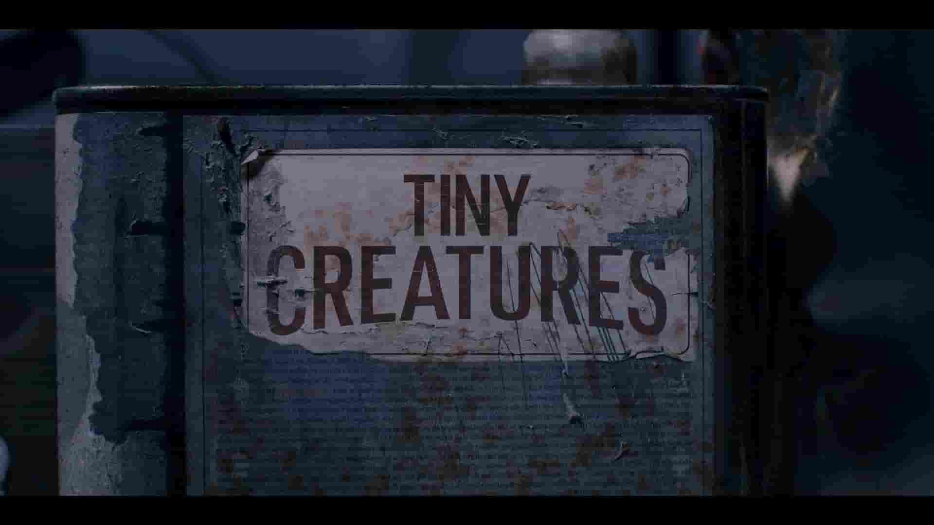 Netflix纪录片《微观世界/小动物的未知世界 Tiny Creatures 2020》第1季全8集 多国语言多国字幕 1080P高清网盘下载