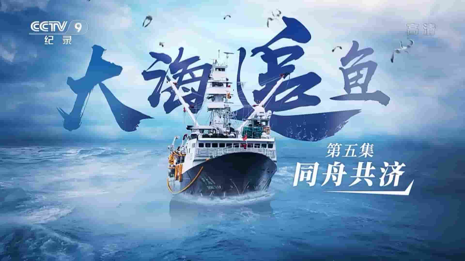 央视纪录片《大海追鱼 2022》全7集 国语中字 1080P高清网盘下载