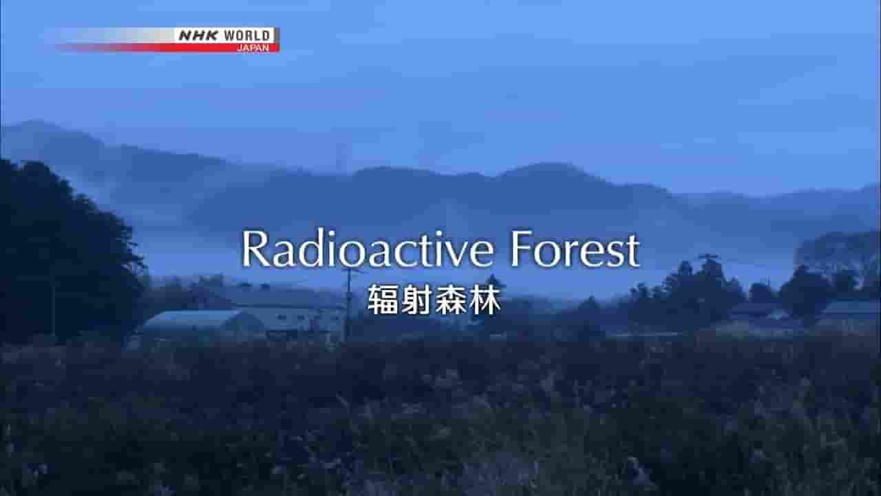 NHK纪录片《日本福岛辐射森林 Radioactive Forest 2016》全1集 英语内嵌中英双字 720P高清网盘下载