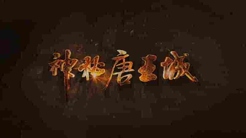 国产纪录片《神秘唐王城 2023》全6集 国语中字 4K超高清网盘下载