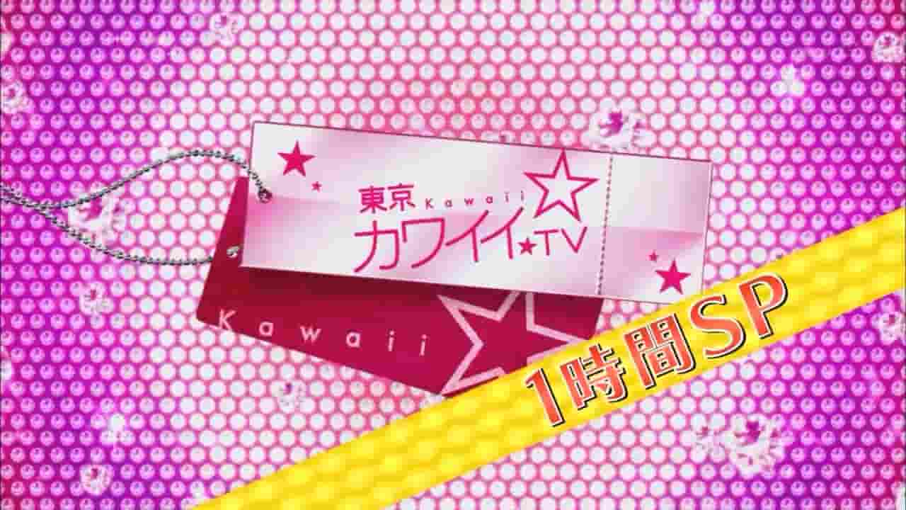  NHK纪录片《日本模特的中国挑战计划 ギャルカルチャー 上海に本格上陸 2010》全2集 日语中字 720p高清网盘下载