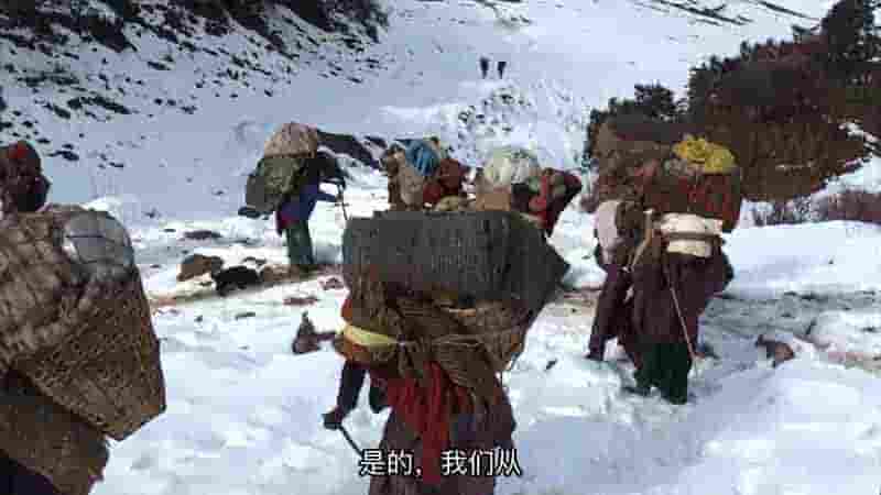 尼泊尔纪录片《喜马拉雅山区游牧生活》第2部分全200集 尼泊尔语无字 1080p高清网盘下载