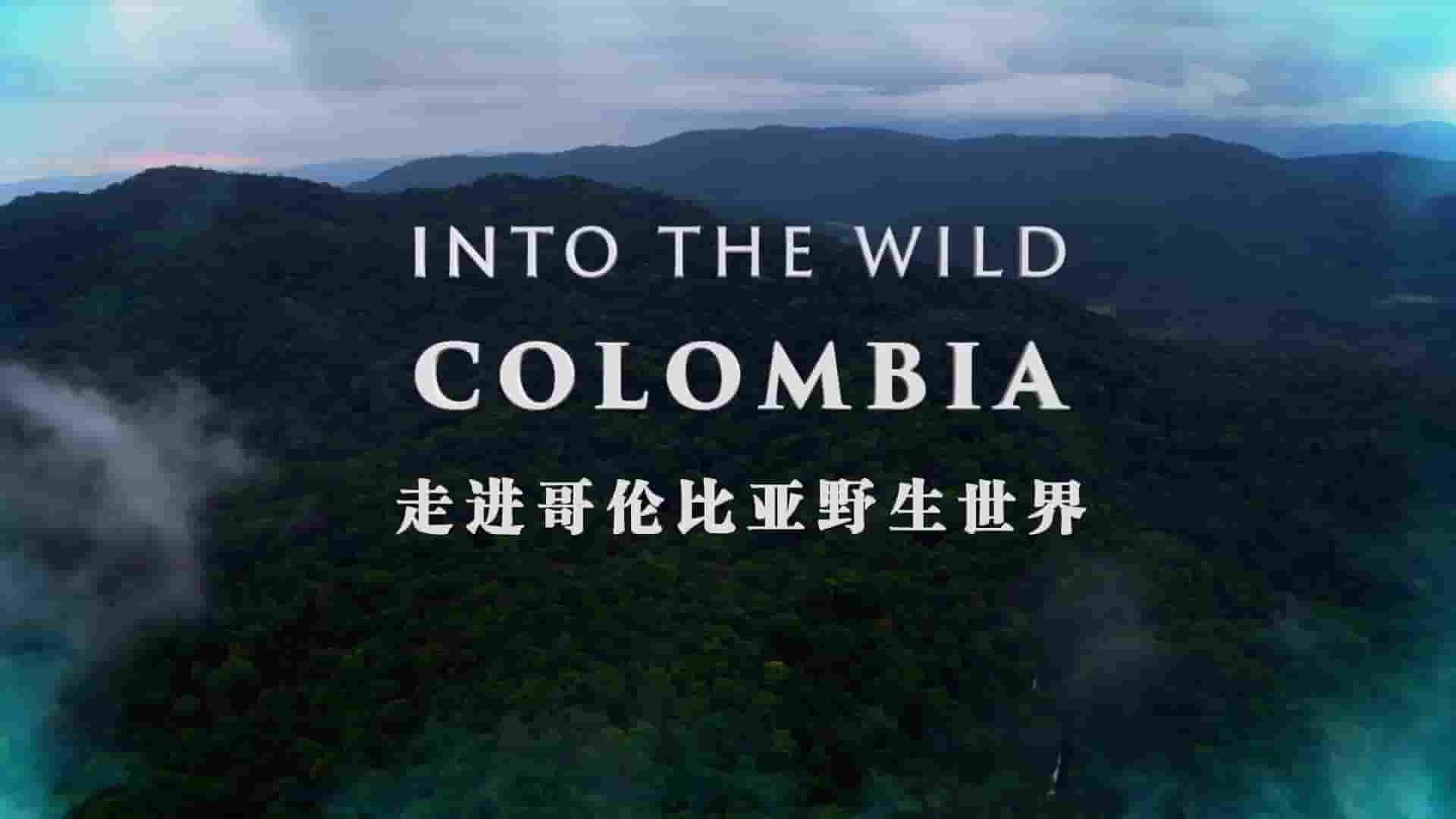 史密森频道《走进哥伦比亚野生世界/走进野外：哥伦比亚 Into the Wild: Colombia 2018》全5集 英语内嵌中英双字 1080P高清网盘下载