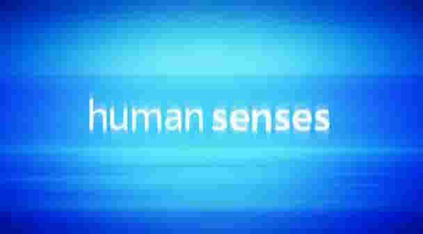 BBC纪录片《人类感官 Human Senses 2003》全3集 英语内嵌中英字幕 标清网盘下载