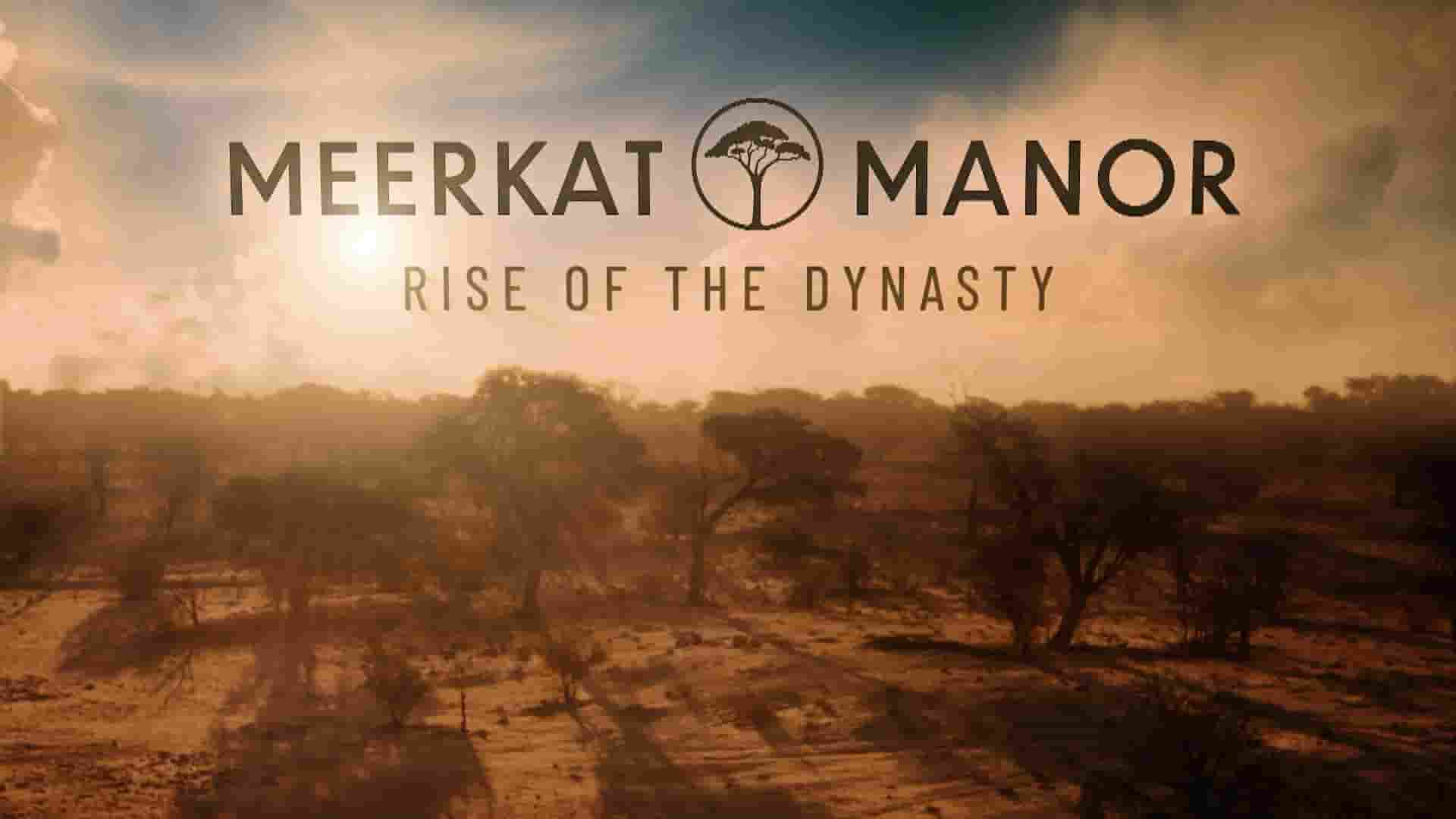 美国纪录片《猫鼬庄园：王朝的崛起 Meerkat Manor: Rise of the Dynasty 2021》全8集 英语无字 1080P高清网盘下载