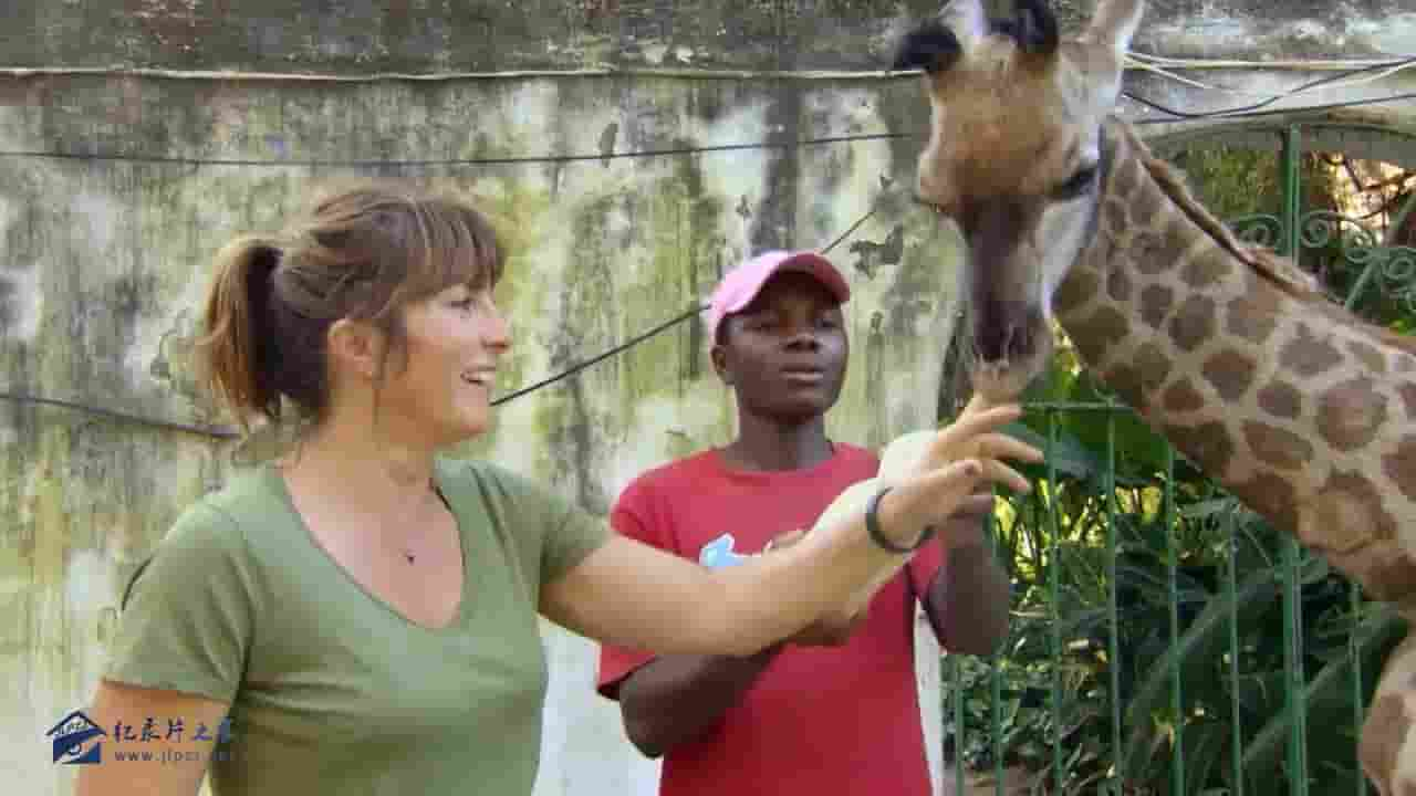 PBS纪录片《了不起的动物遗孤 Nature’s Miracle Orphans 2015》全4集 英语内嵌中英双字 720P高清网盘下载