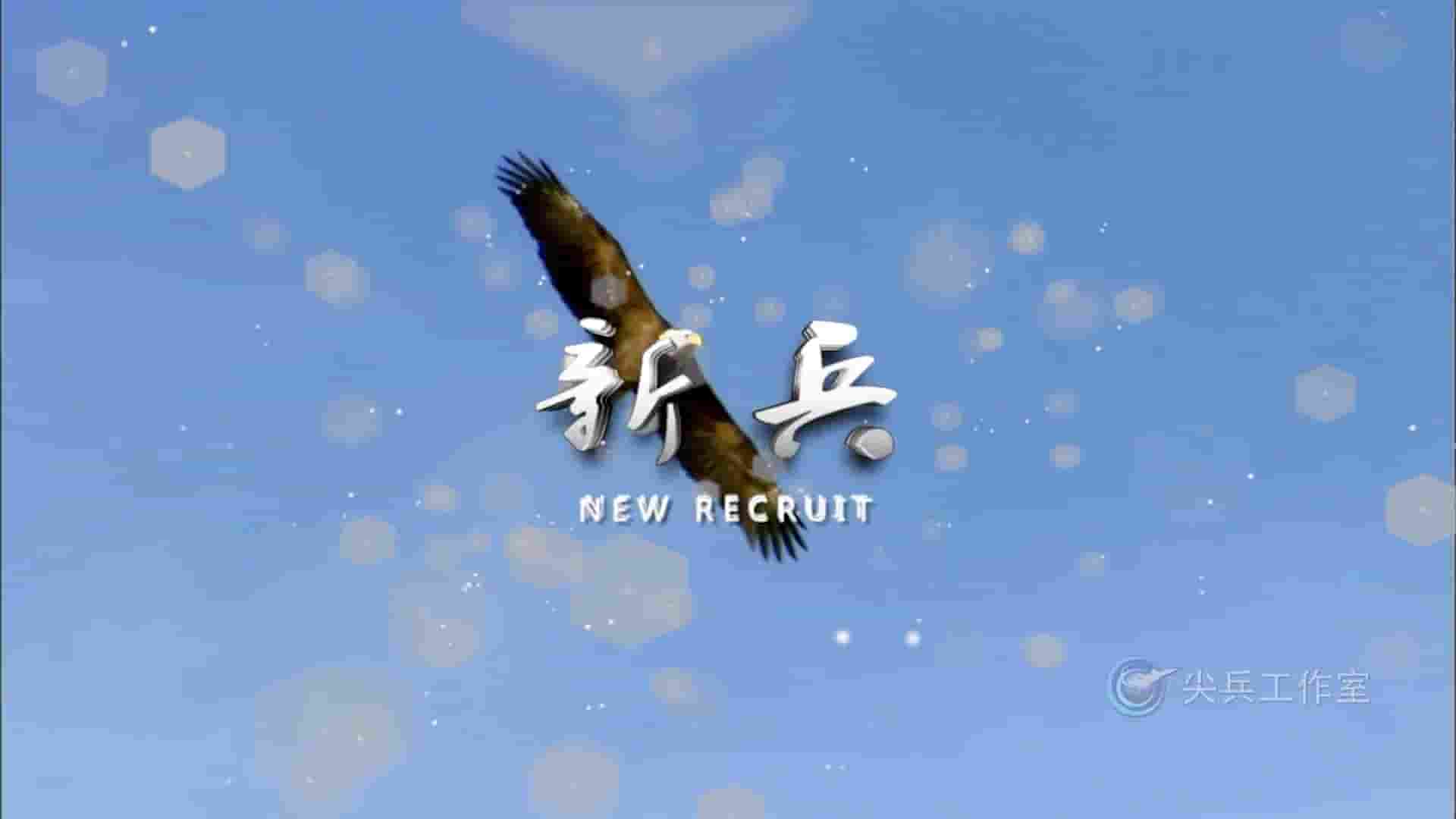 国产纪录片《新兵 New Recruit 2018》全8集 国语中字 1080P高清网盘下载