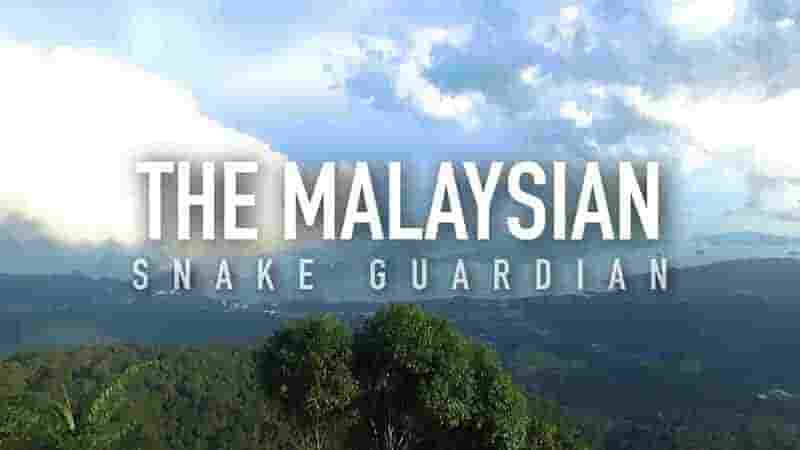 美国纪录片《马来西亚蛇类守护者 The Malaysian Snake Guardian 2018》全1集 英语中英双字 1080P高清网盘下载