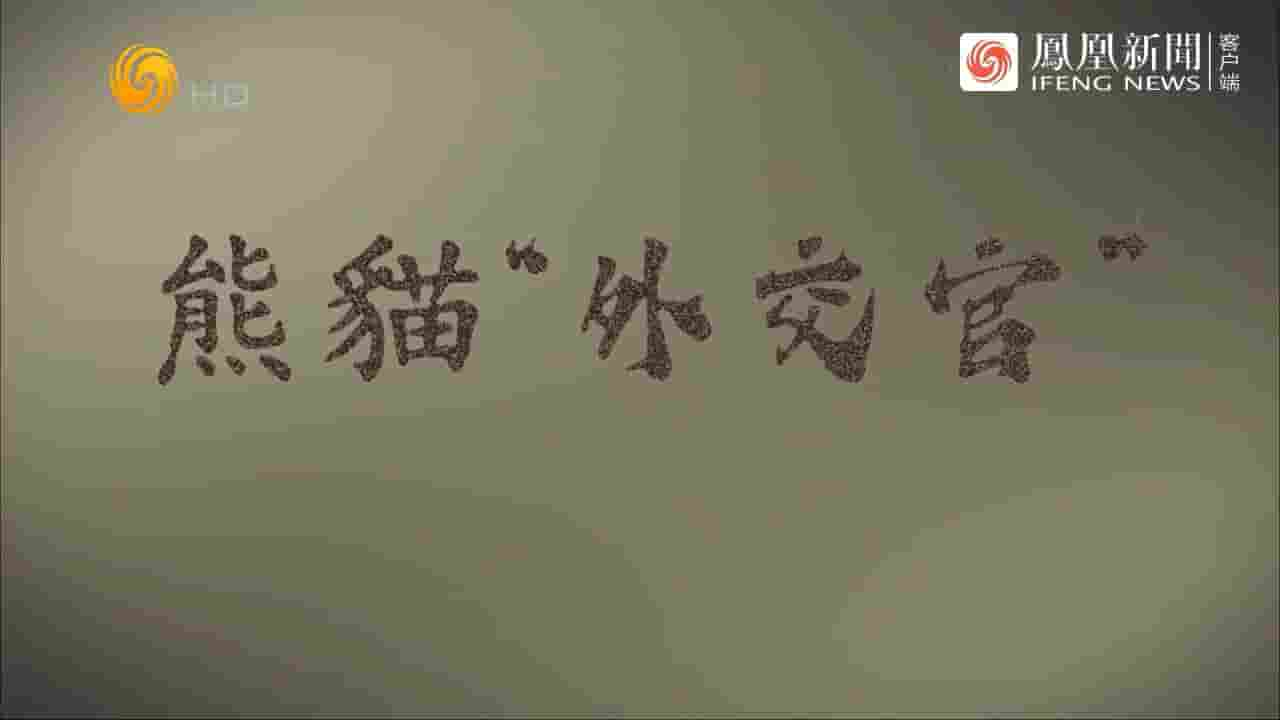 凤凰大视野《熊猫“外交官” 2023》全5集 国语中字 720P高清网盘下载