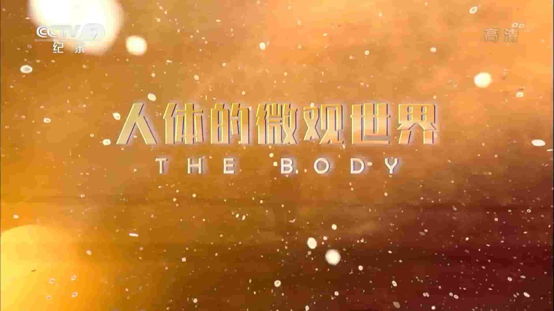 NHK纪录片《人体的微观世界 THE BODY 2018》全8集 国语中字1080P高清网盘下载