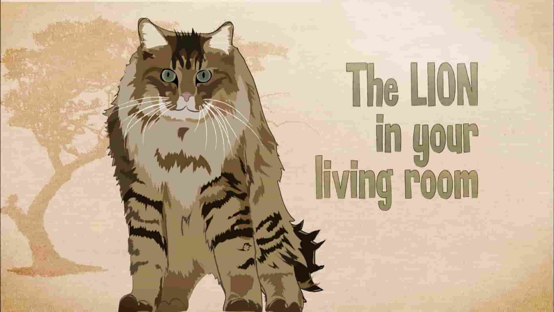 加拿大纪录片《家里的狮子 The Lion in Your Living Room 2015》全1集 英语中英双字 1080P高清网盘下载