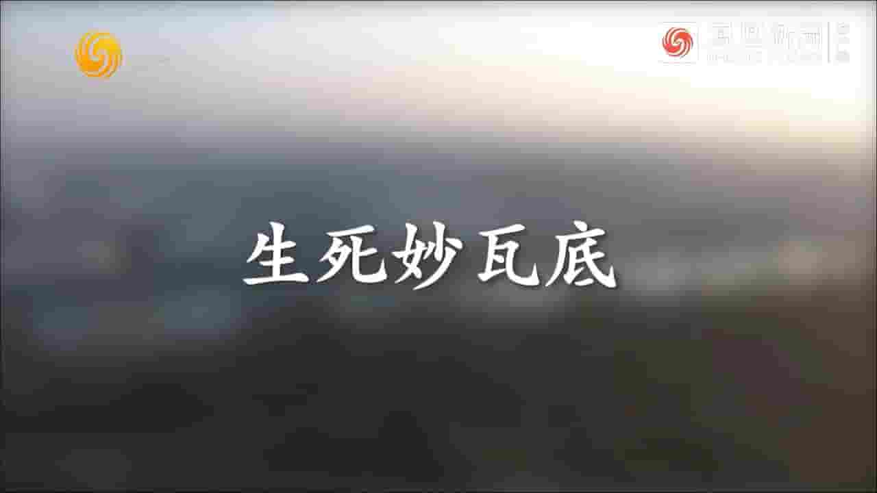 凤凰新闻《幸卫林·生死妙瓦底 2023》全1集 国语中字 720P高清网盘下载