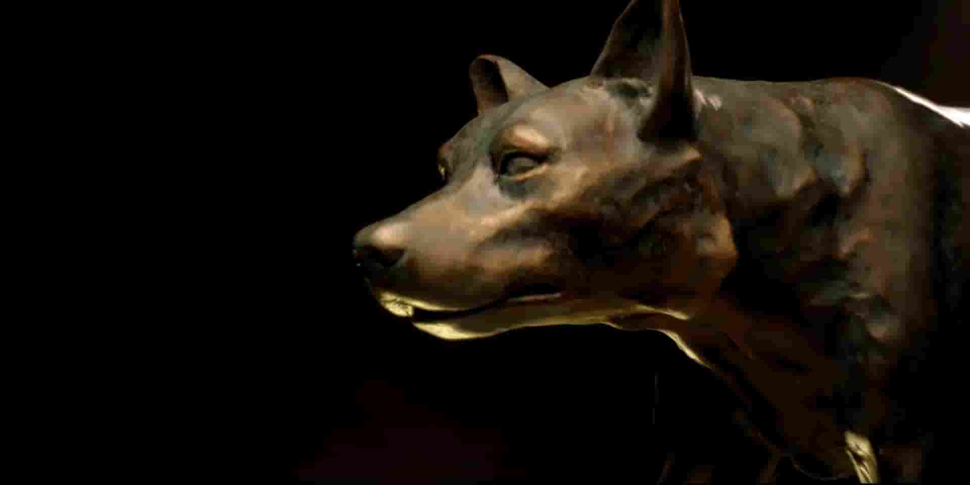 澳大利亚纪录片《科科:红犬历险记 Koko: A Red Dog Story 2019》全1集 英语中英双字 1080P高清网盘下载