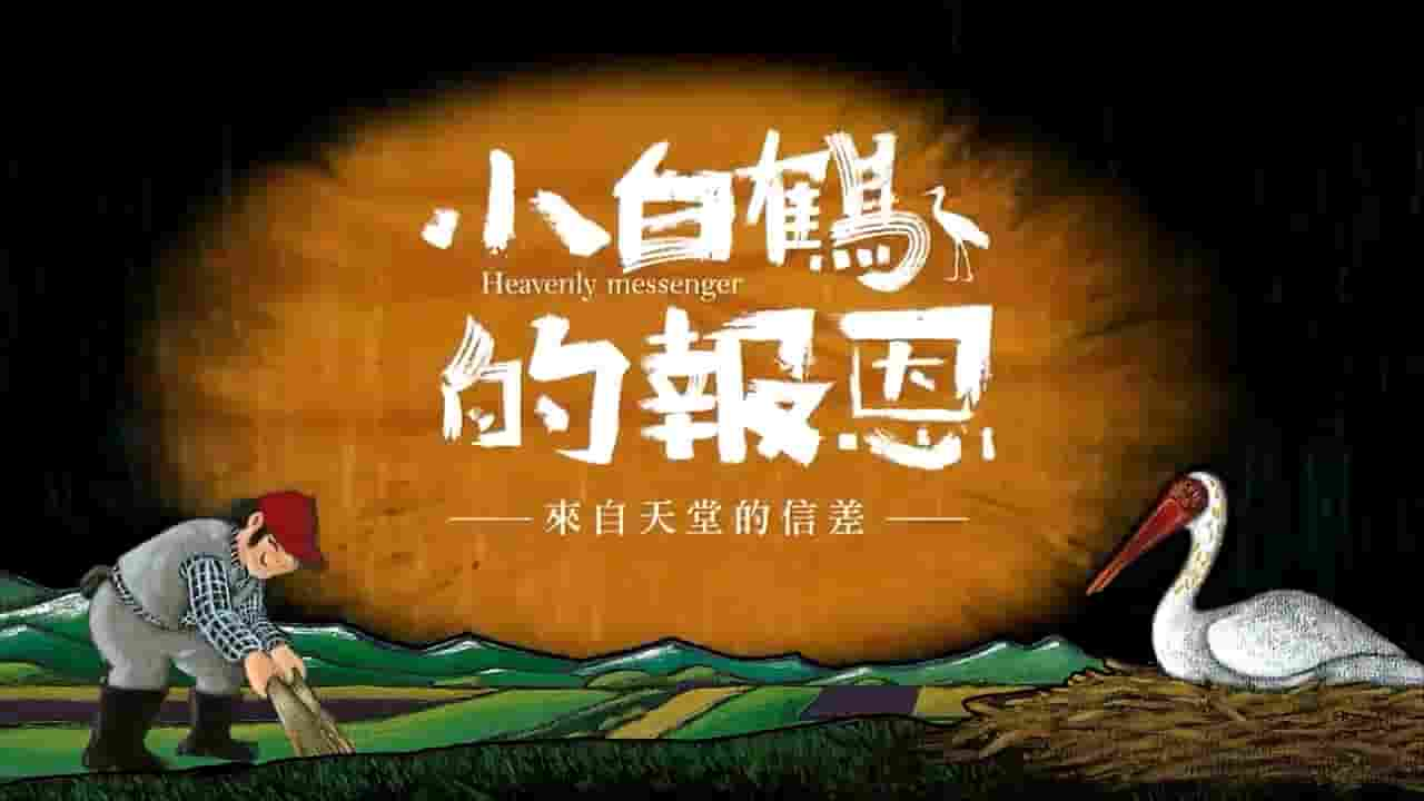 PTS公视《小白鹤的报恩–来自天堂的信差 Heavenly messenger 2017》全1集 国语中字 720P高清网盘下载