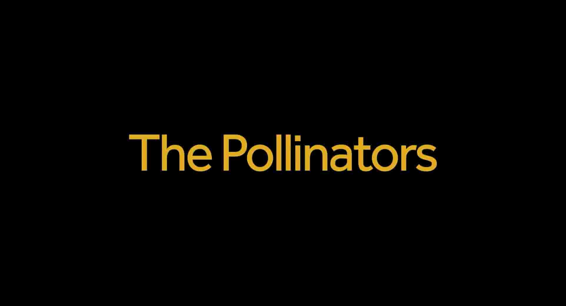 美国纪录片《传粉者 The Pollinators 2019》全1集 英语中英双字 1080P高清网盘下载