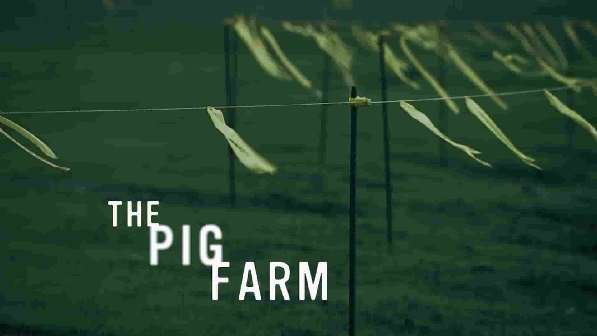 加拿大纪录片《养猪场 The Pig Farm 2011》全1集 英语中英双字 1080P高清网盘下载