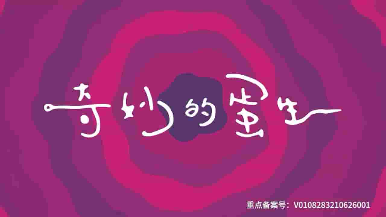 国产纪录片《奇妙的蛋生 2021》全6集 国语中字 720P高清网盘下载