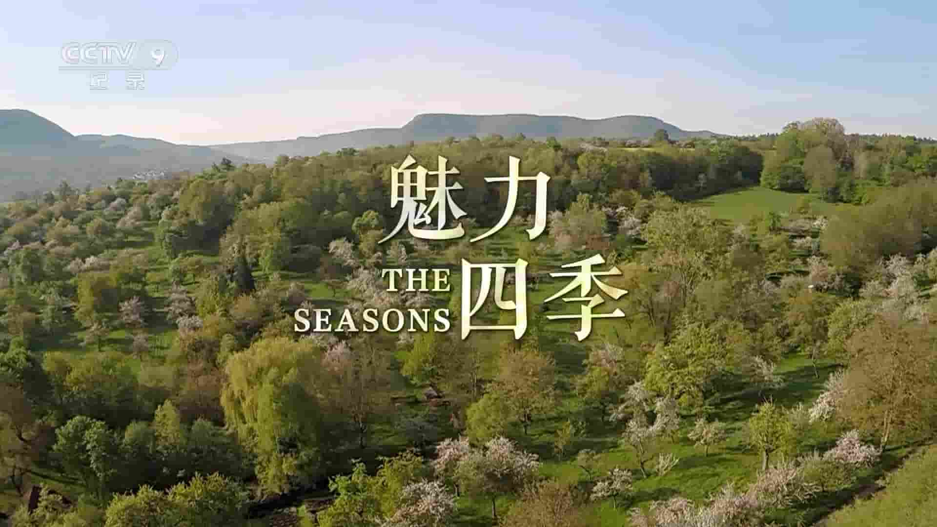 德国纪录片《魅力四季 The Seasons 2016》全1集 国语中字 1080P高清网盘