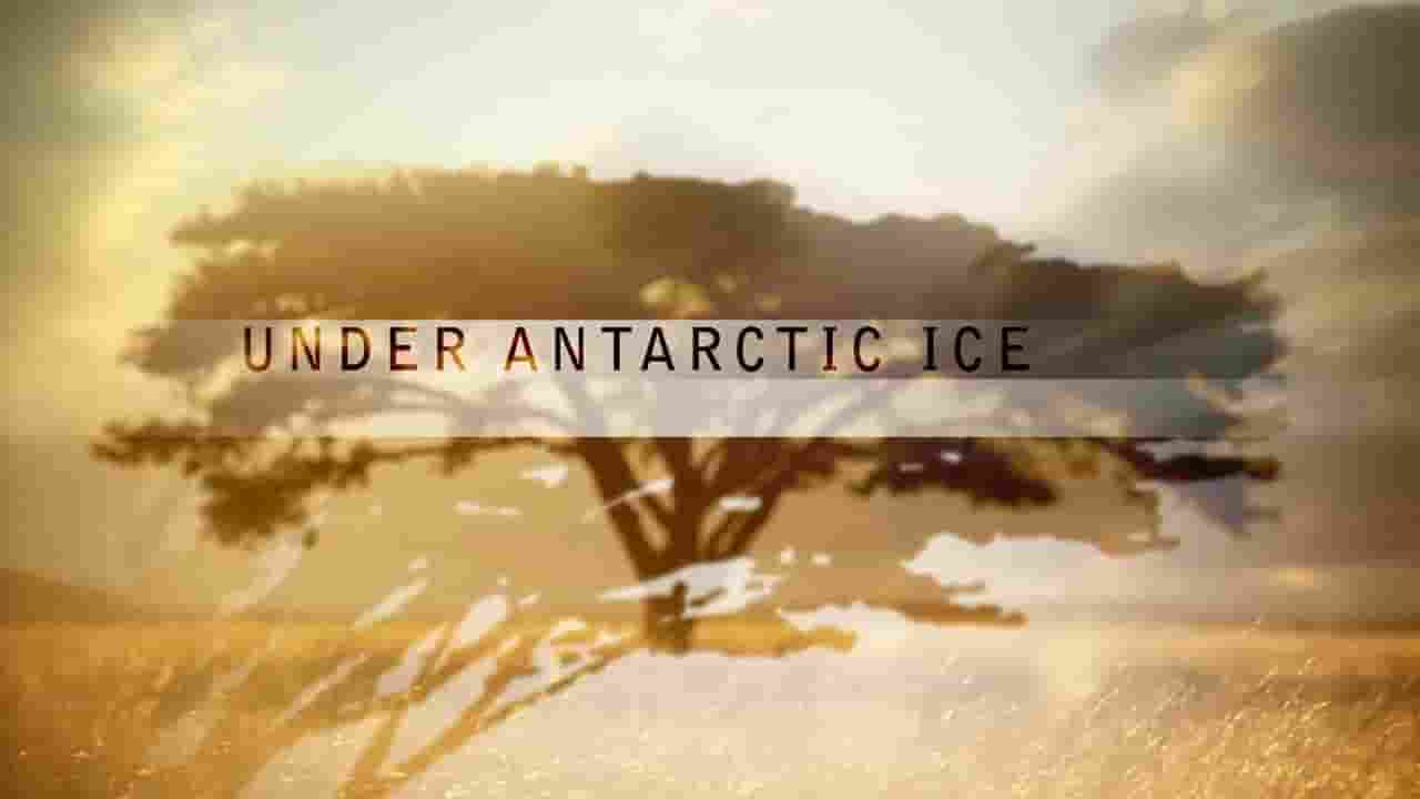 PBS纪录片《自然：南极冰下 Under Antarctic Ice 2012》全1集 英语无字 720P高清网盘