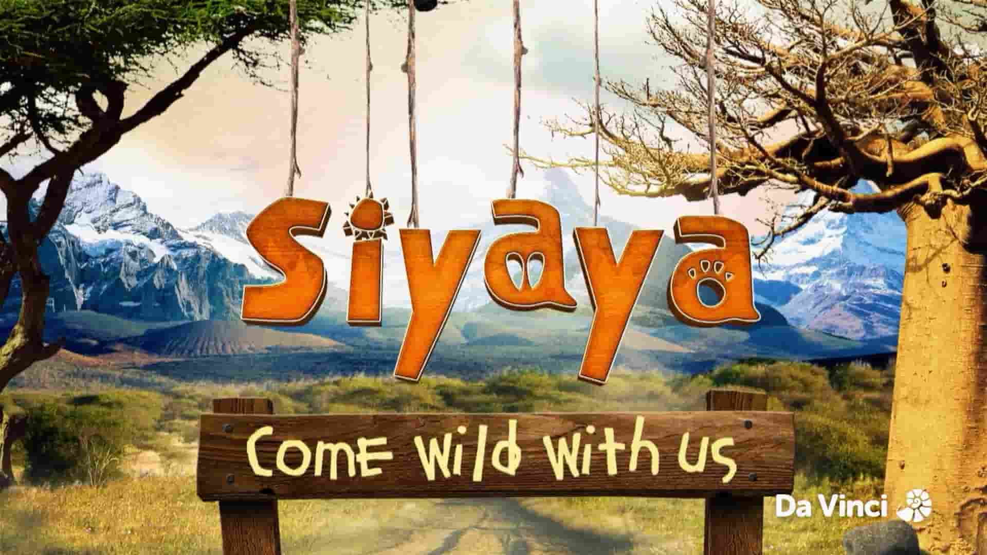 南非纪录片《Siyaya：与我们一起狂野 Siyaya: Come Wild with Us 2015》全3集 英语中英双字 1080P高清网盘