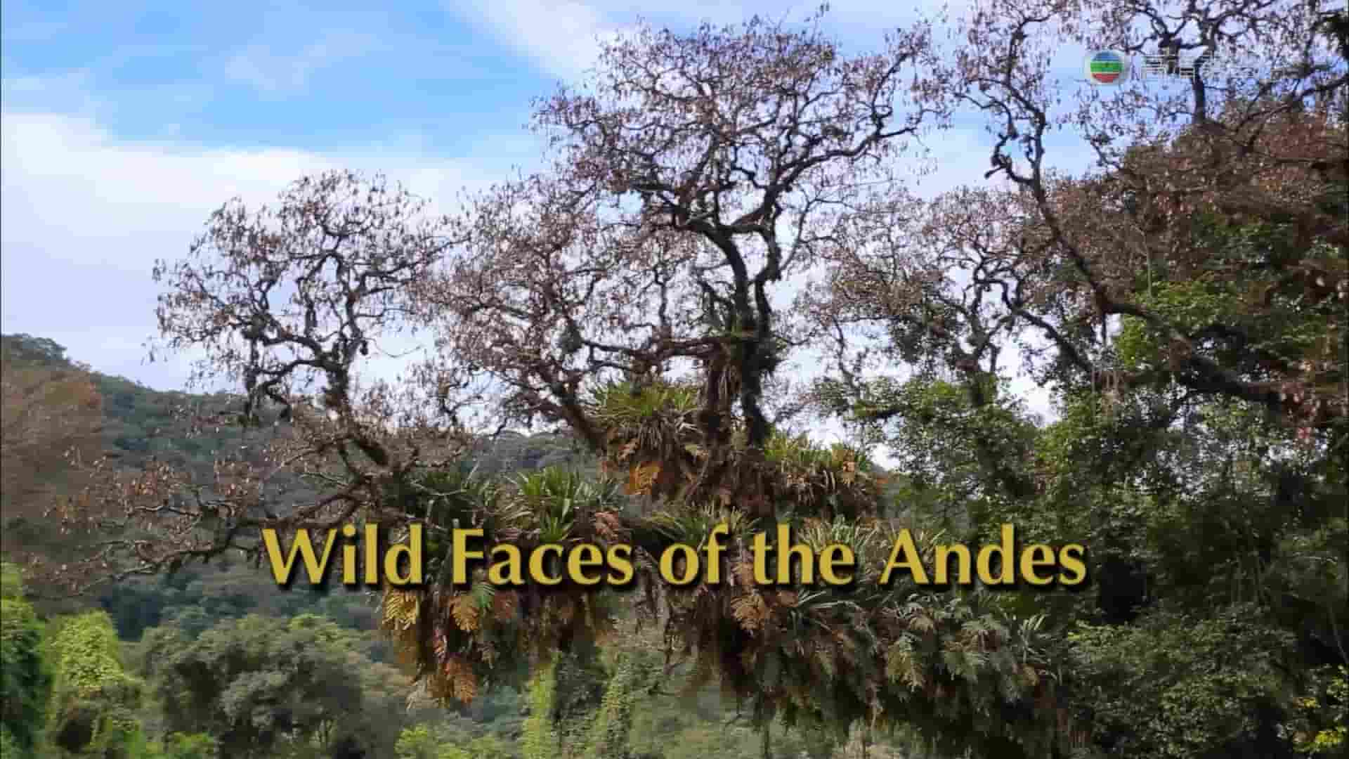 德国纪录片《绝岭桃源 Wild Faces of the Andes 2013》全1集 英语中字 1080i高清网盘