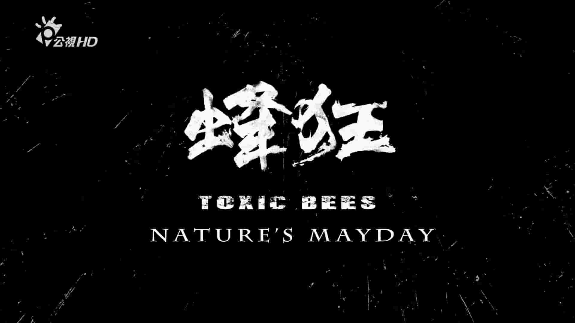 PTS公视《蜂狂 Toxic Bees- Natures’s Mayday 2014》全1集 国语内嵌中字 1080P高清网盘