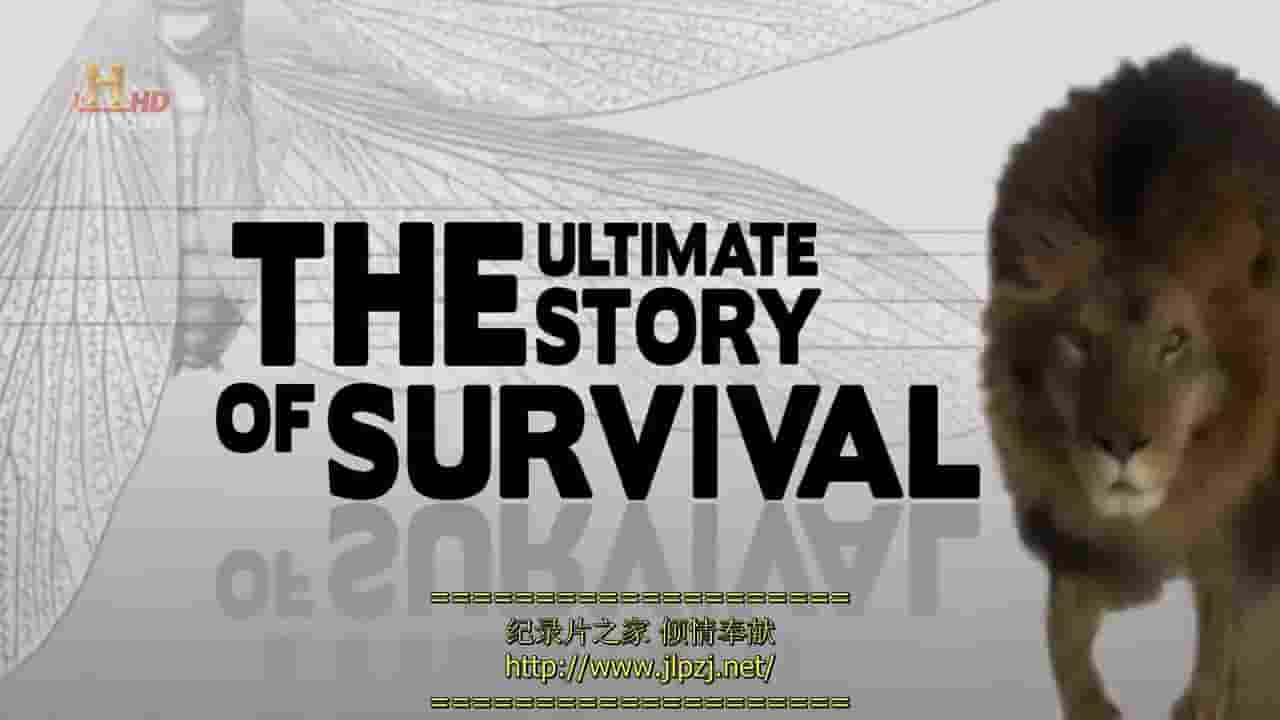 历史频道《进化：极限生存故事 Evolve:The Ultimate Story of Survival 2008》全11集 英语中字 720P高清网盘下载